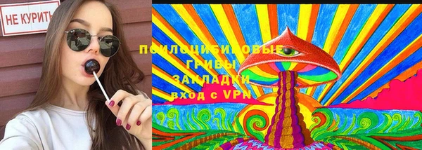 СК Куйбышев