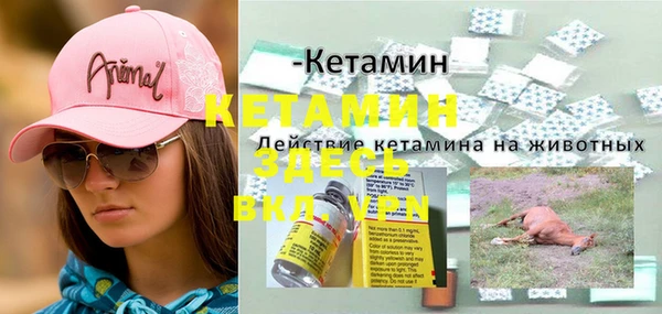 СК Куйбышев