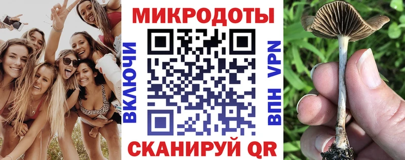 Галлюциногенные грибы Psilocybine cubensis  Красный Сулин 